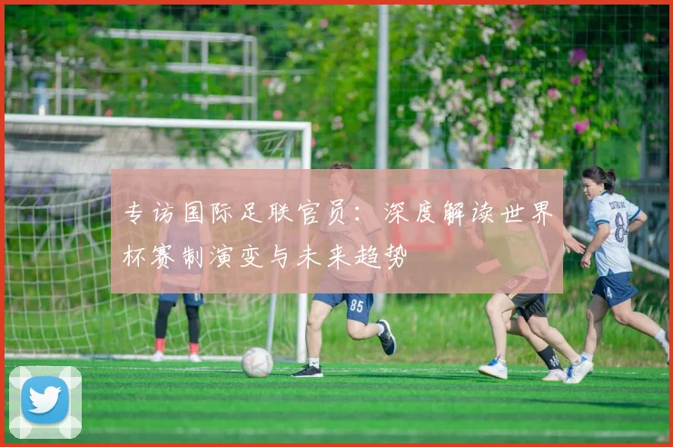 专访国际足联官员：深度解读世界杯赛制演变与未来趋势