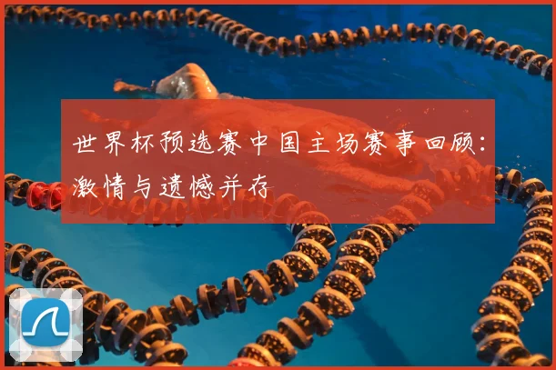 世界杯预选赛中国主场赛事回顾:激情与遗憾并存