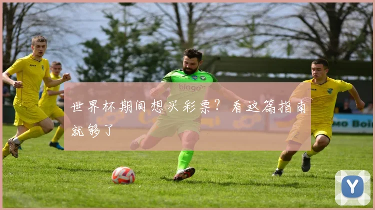 世界杯期间想买彩票?看这篇指南就够了