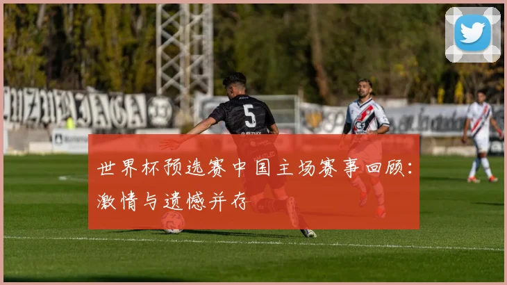 世界杯预选赛中国主场赛事回顾:激情与遗憾并存