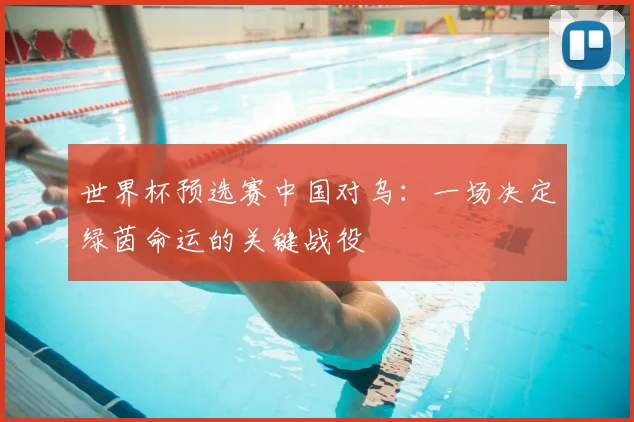 世界杯预选赛中国对乌:一场决定绿茵命运的关键战役