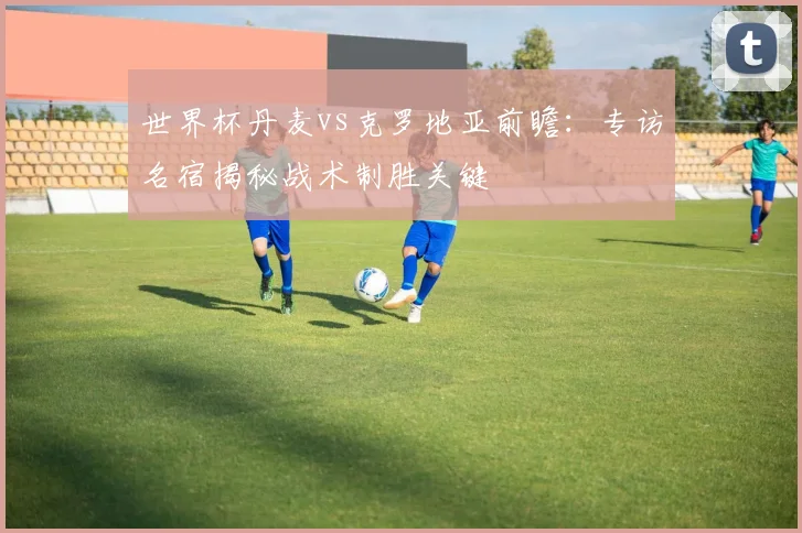 世界杯丹麦vs克罗地亚前瞻：专访名宿揭秘战术制胜关键